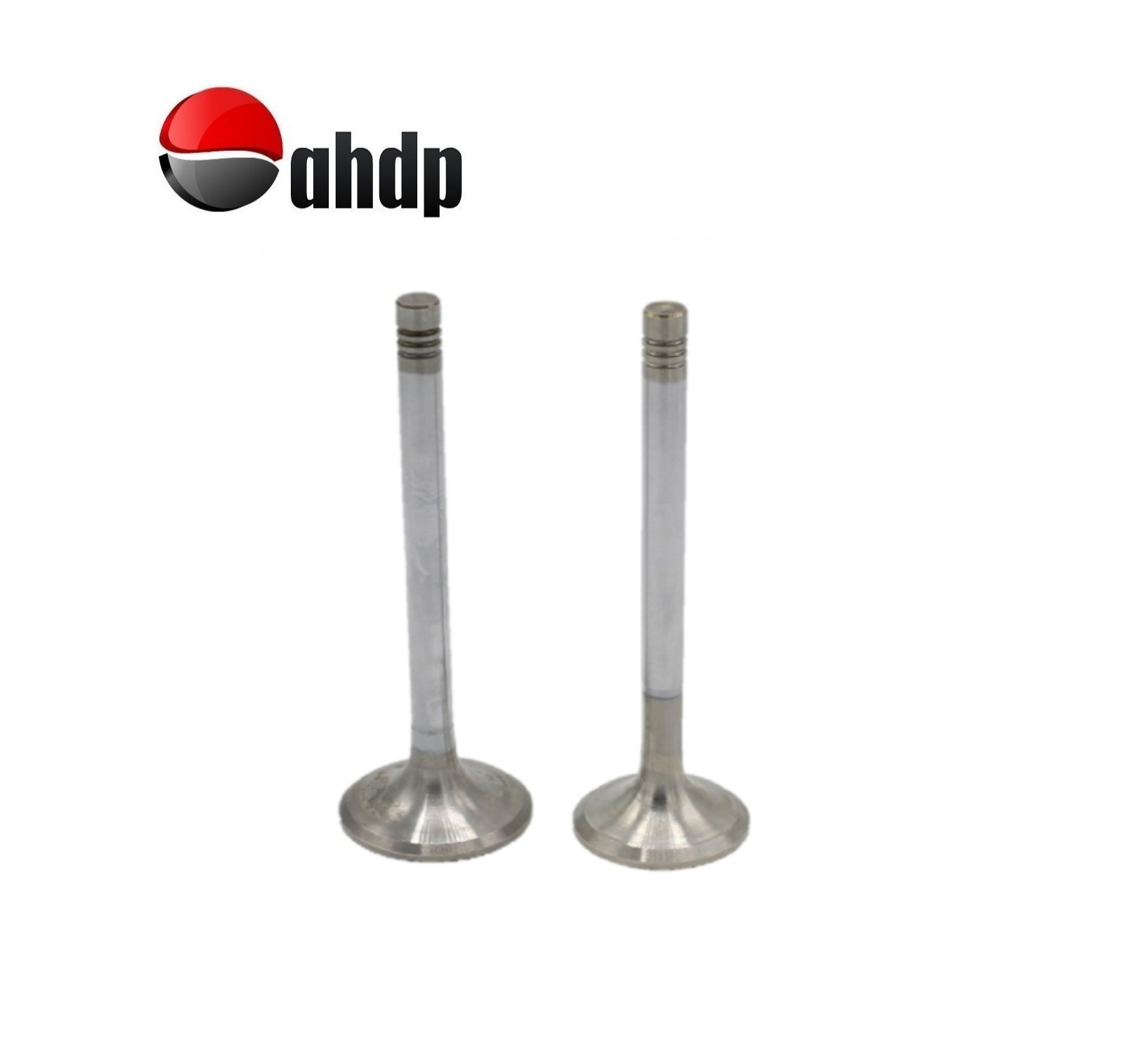 ENGINE VALVE SET IN+EX HATZ - HZ0103625501, HZ0103625600